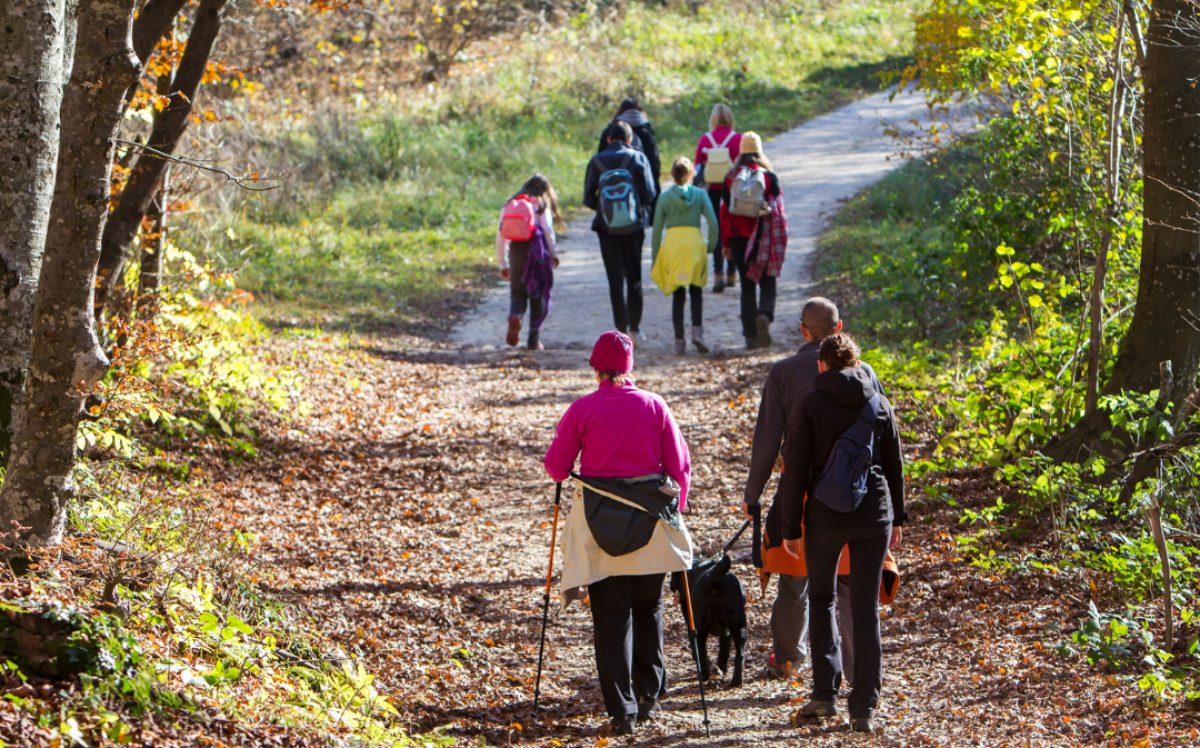 Group of walkers walking path with autumn leaves